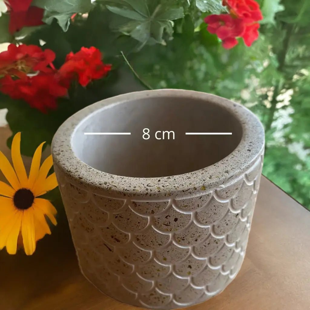 Kit Verde: Macetero reciclado + Compost + Semillas | Crea tu mini huerto - Glass Sand