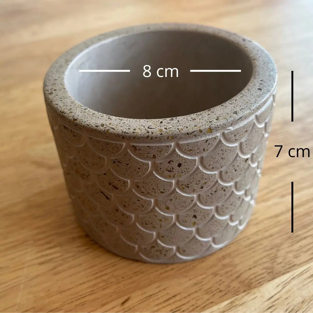 Kit Verde: Macetero reciclado + Compost + Semillas | Crea tu mini huerto - Glass Sand