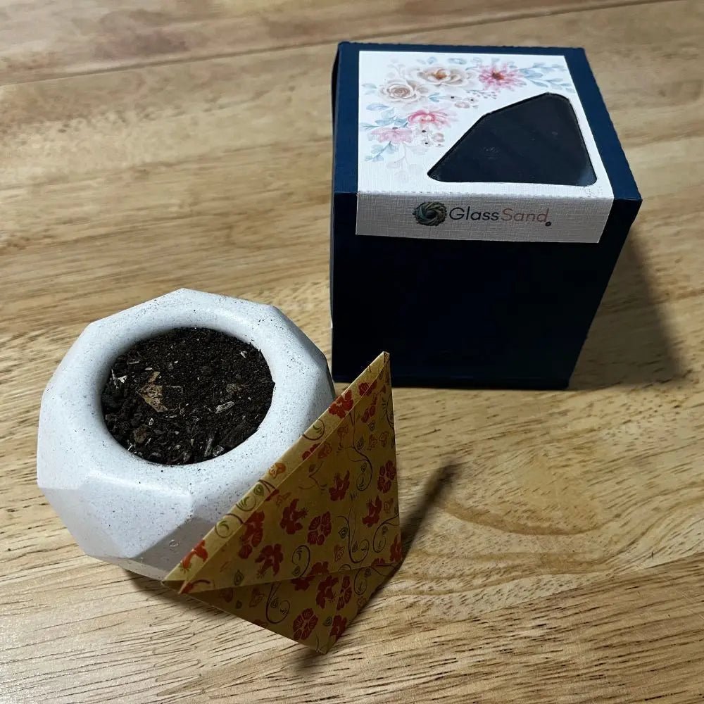 Macetero pequeño con sustrato orgánico y semillas de flores - Glass Sand