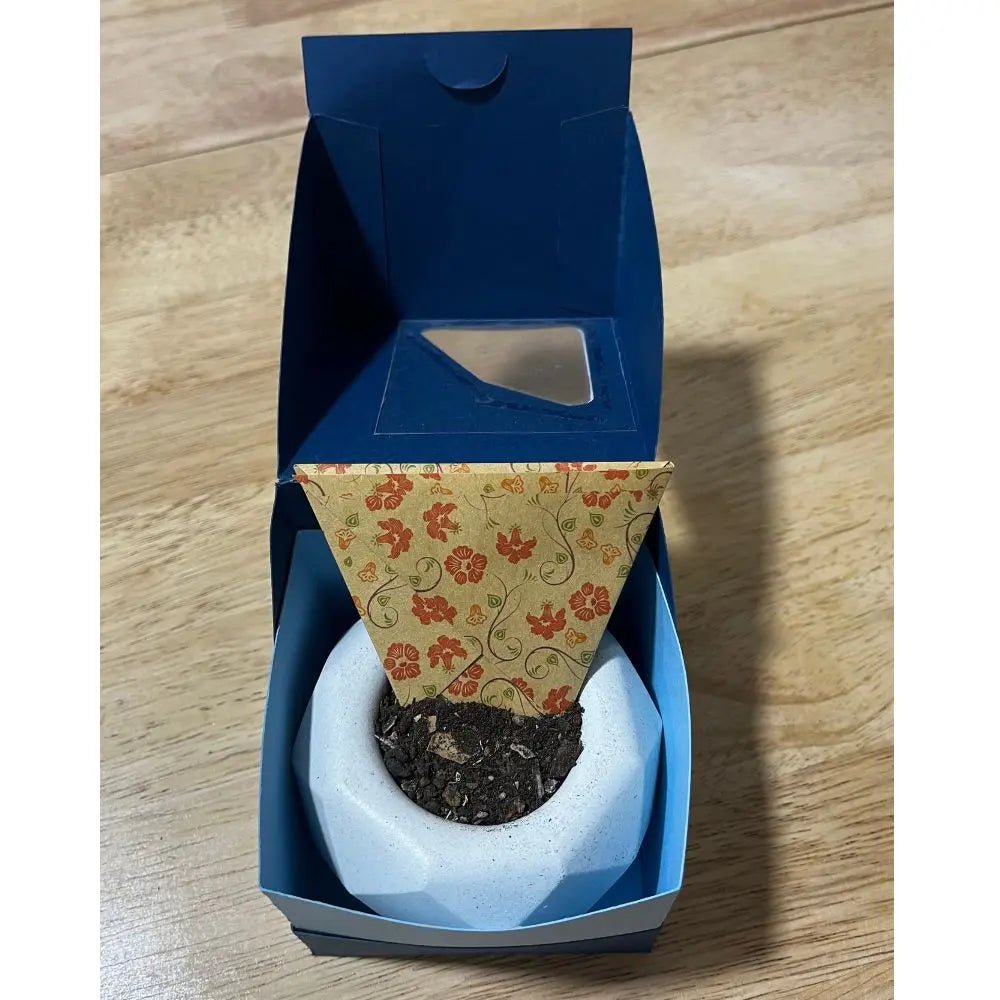 Macetero pequeño con sustrato orgánico y semillas de flores - Glass Sand