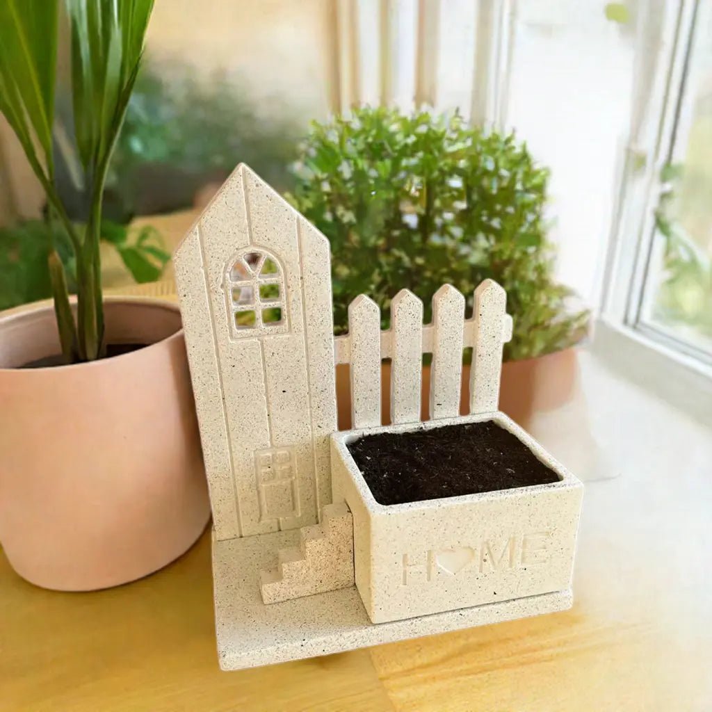Macetero Home con sustrato orgánico y semillas de flor - Glass Sand
