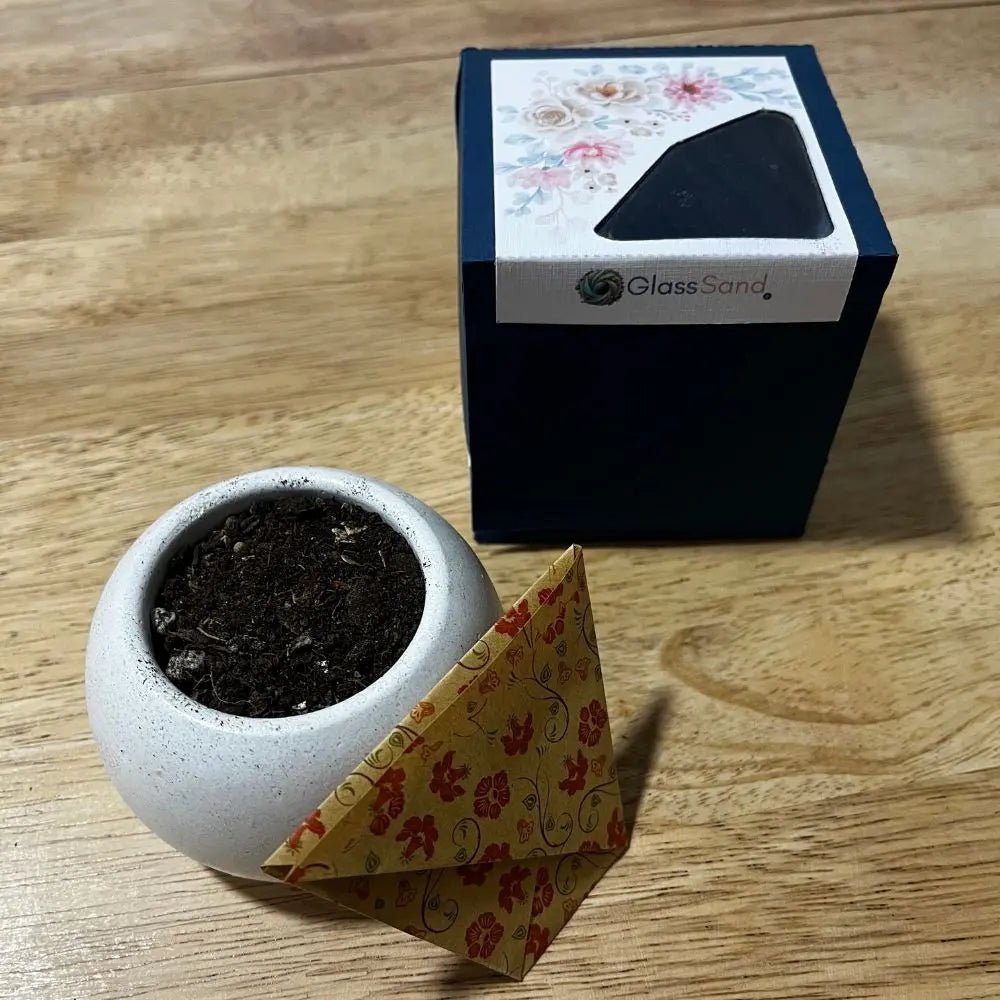 Macetero pequeño con sustrato orgánico y semillas de flores - Glass Sand